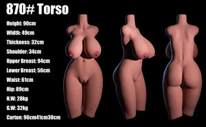 Big Tits Torso (#870)