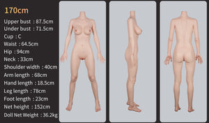 Marie 170cm C-Cup (Head #GE53-2)